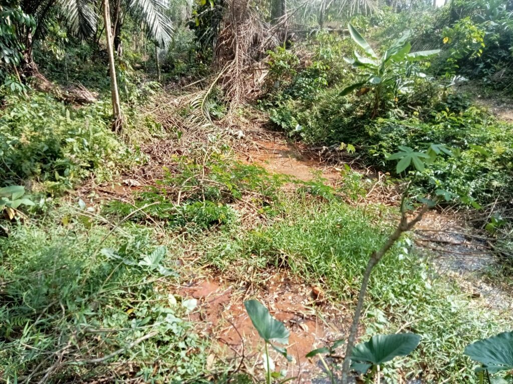 IMG-20260803-WA0007