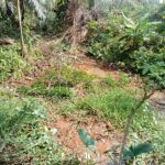 Di Duga kebocoran Bahan Bakar Minyak Jenis Solar Masyarakat Keluhkan Sawah Gagal Panen