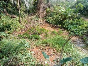 IMG-20260803-WA0007