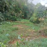 HAK JAWAB & SANGGAHAN,  Bantah Ada Kebocoran Solar di SPBU Kalirejo, Ini Penjelasan Humas SPBU. 