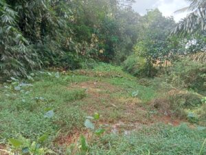 IMG-20260804-WA0005